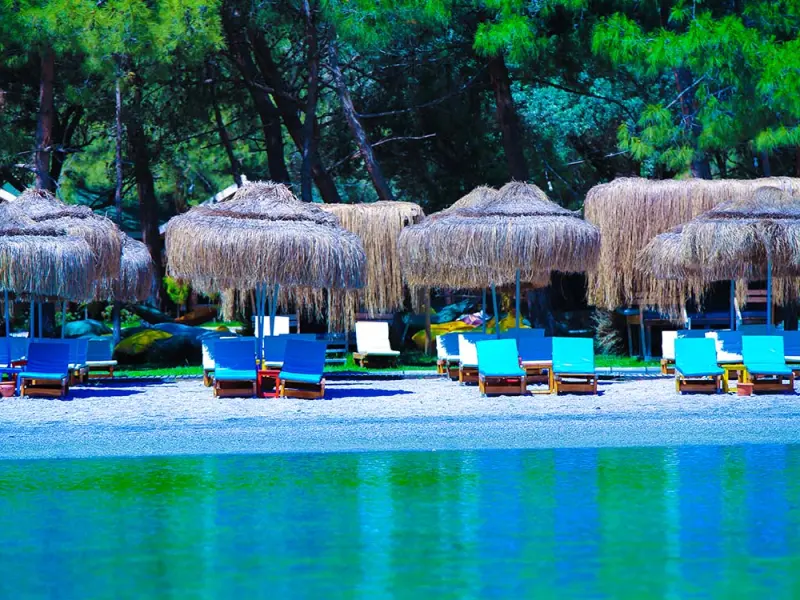 Green Pine Beach 16