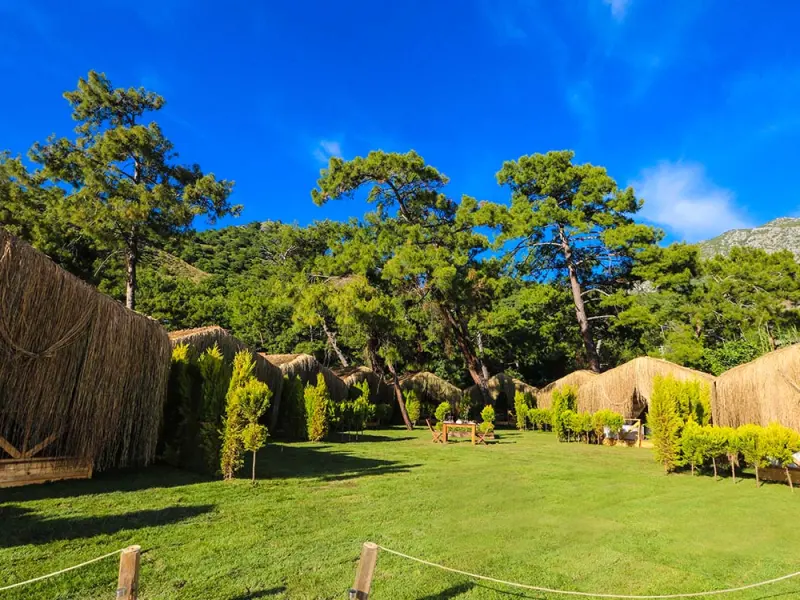 Green Pine Beach 3