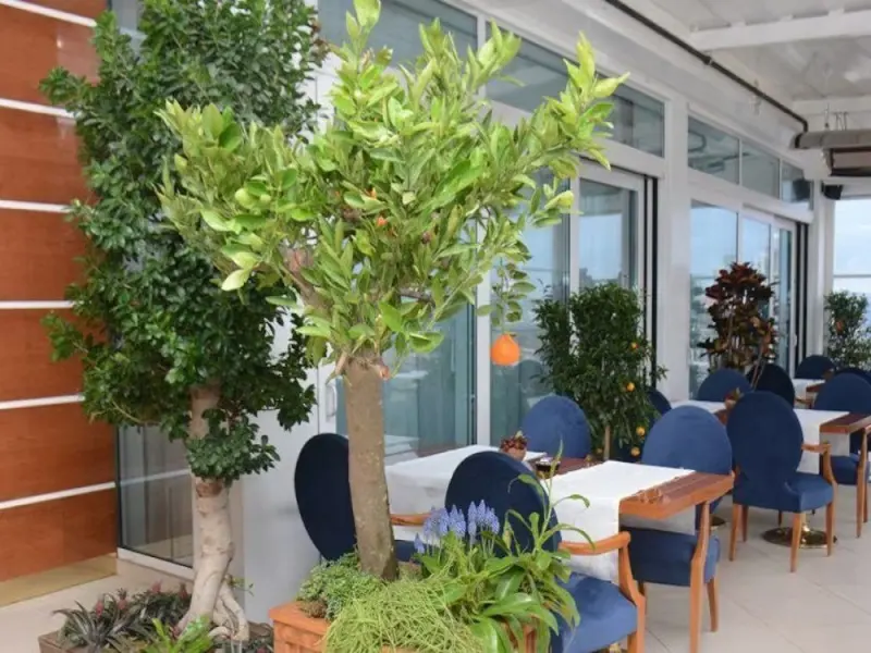 Ankara Atlı Otel 13