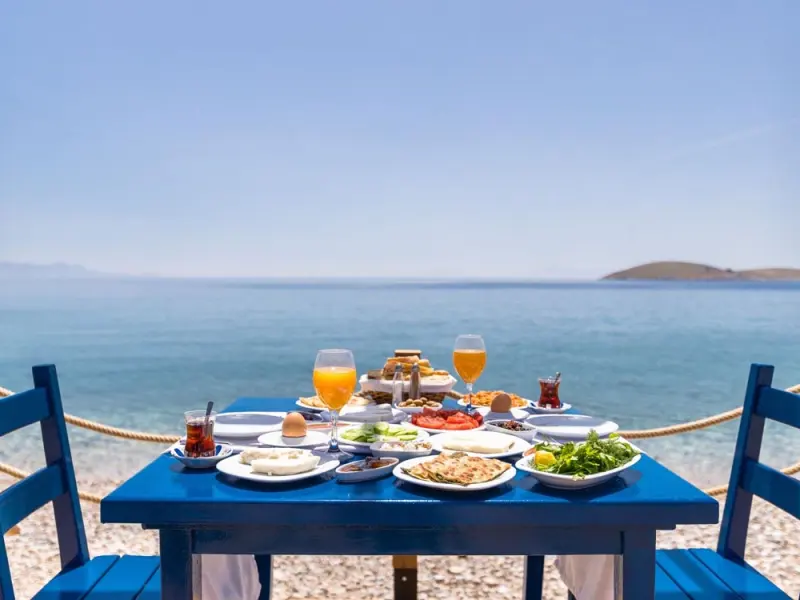 Karia Hotel Palamutbükü 13