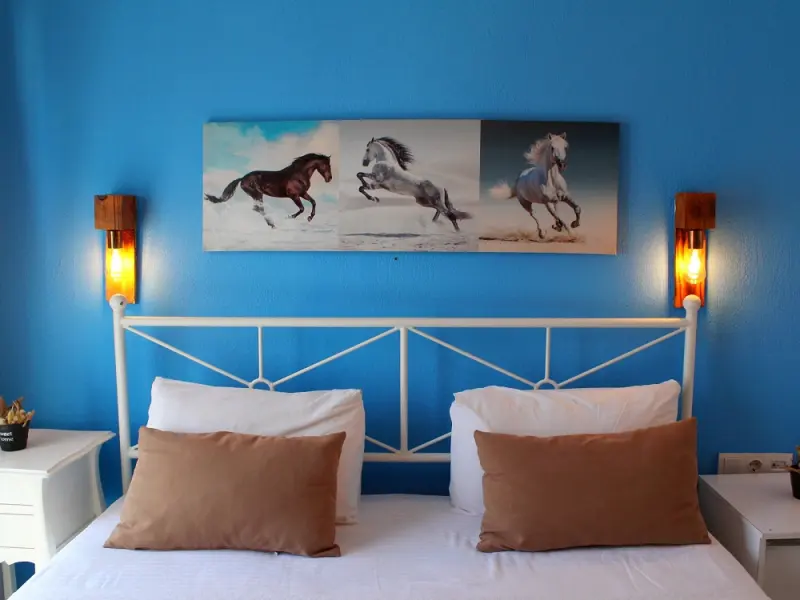 Viya Boutique Otel 16