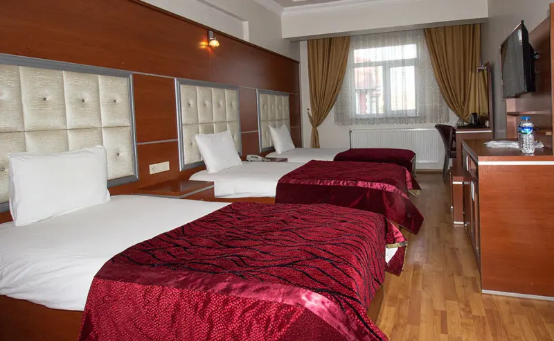 Kafkas Arı Hotel 5