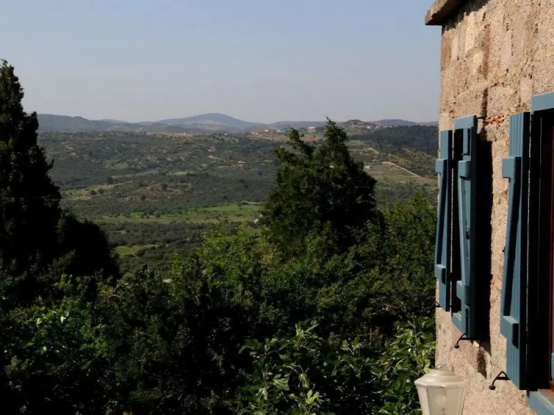 Assos Nar Konak 13