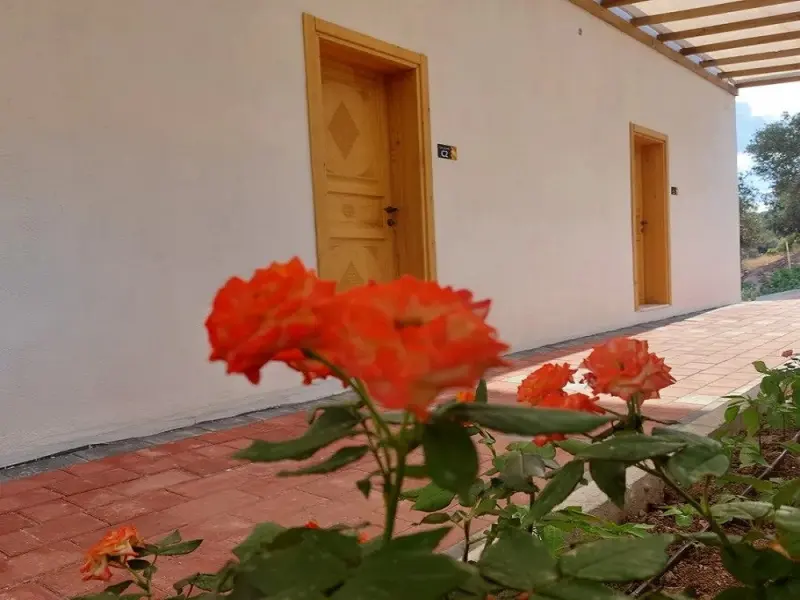 Assos Seyir Konakları Otel 13