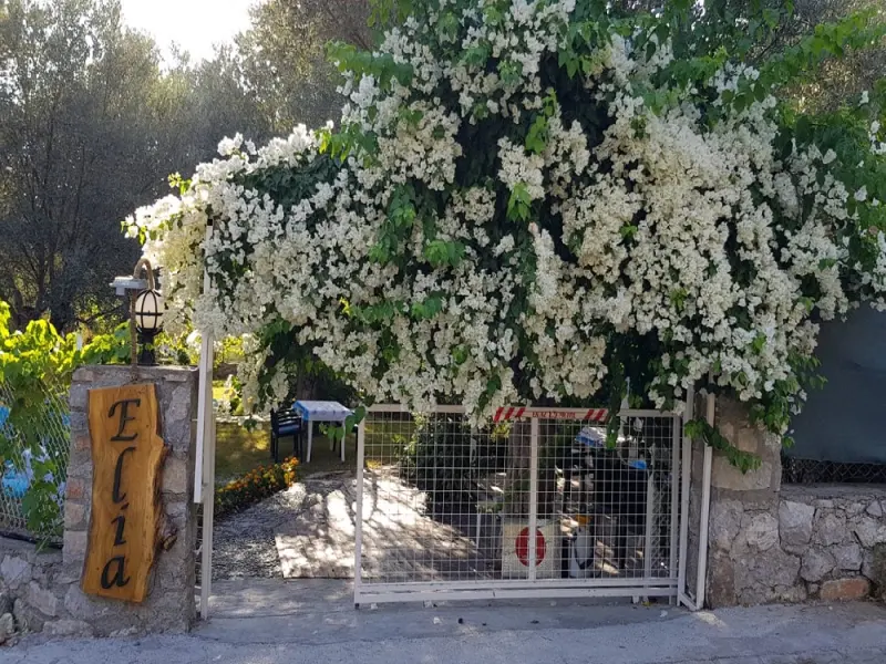 Elia Boutique Hotel 25