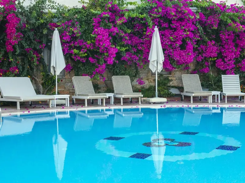 Swan Lake Butik Otel Selimiye 8