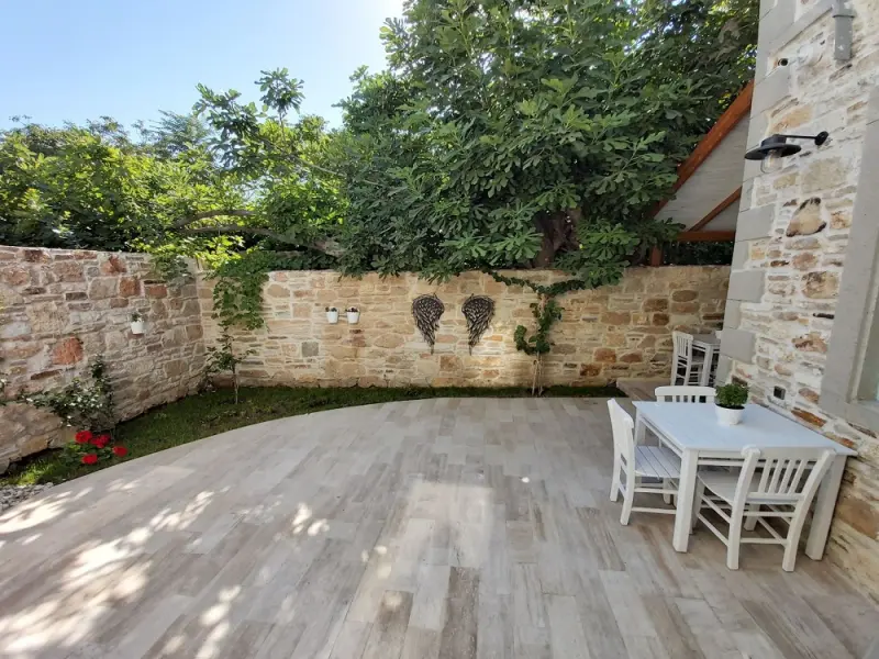 Foça Limon Ağacı 4
