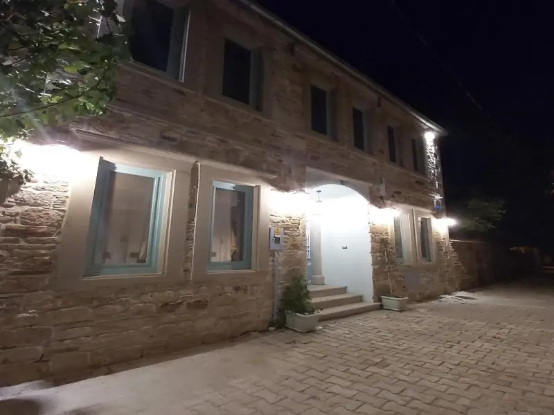 Foça Limon Ağacı 8