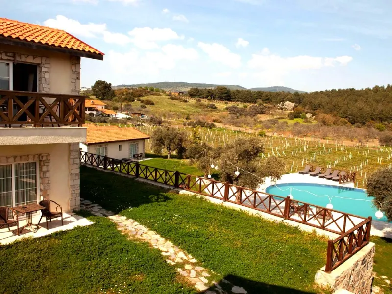 Vinifera Hotel Yedi Bilgeler Vineyards 1