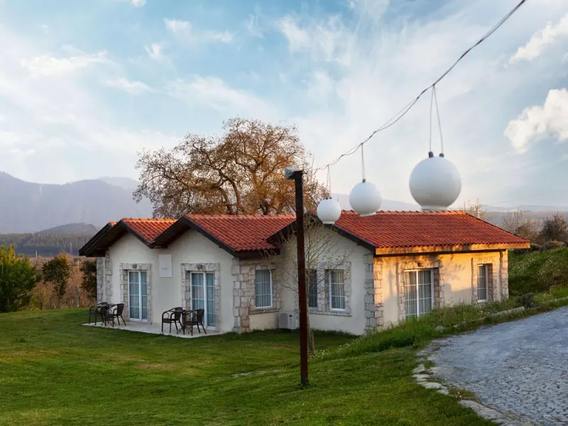 Vinifera Hotel Yedi Bilgeler Vineyards 11