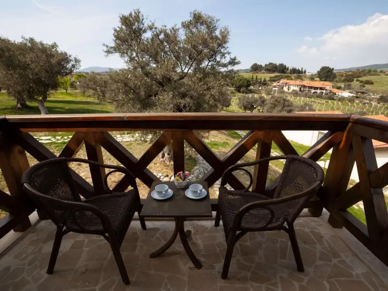Vinifera Hotel Yedi Bilgeler Vineyards 13