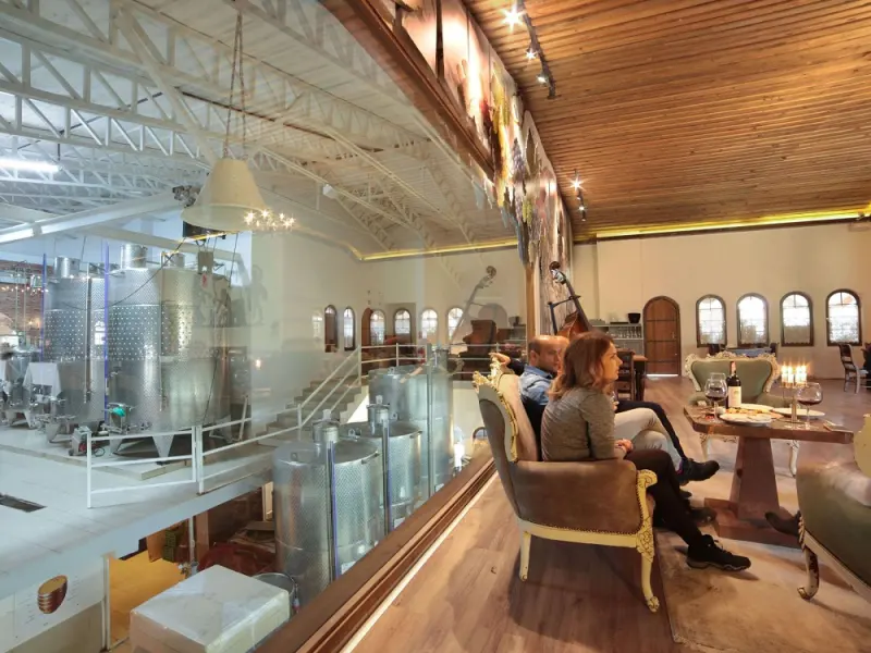 Vinifera Hotel Yedi Bilgeler Vineyards 15