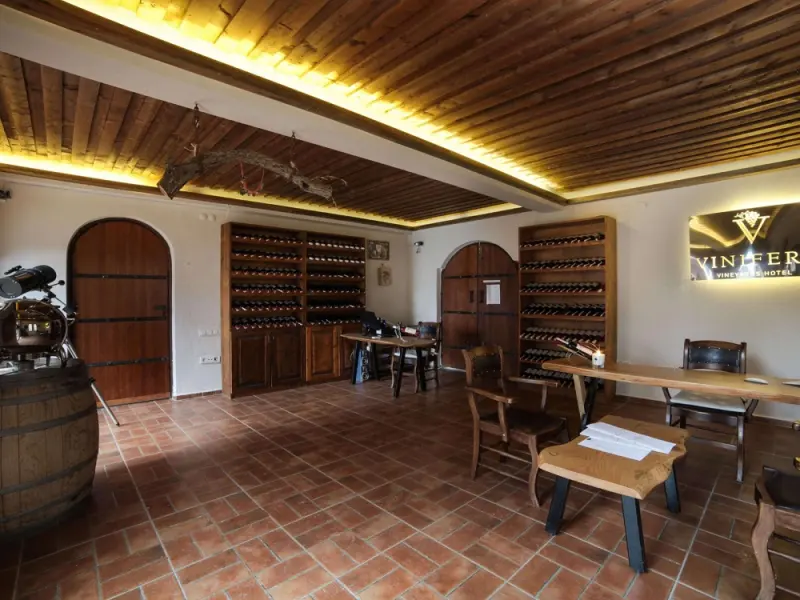 Vinifera Hotel Yedi Bilgeler Vineyards 17