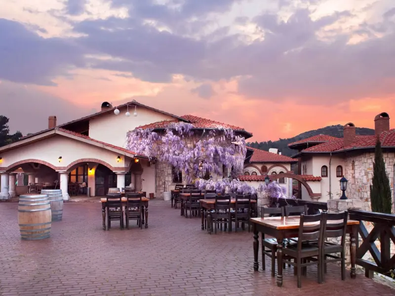Vinifera Hotel Yedi Bilgeler Vineyards 18