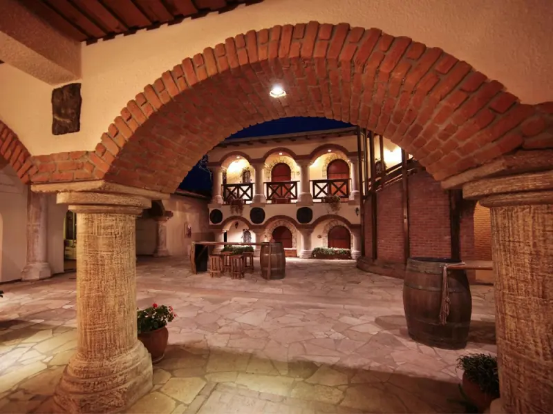 Vinifera Hotel Yedi Bilgeler Vineyards 19