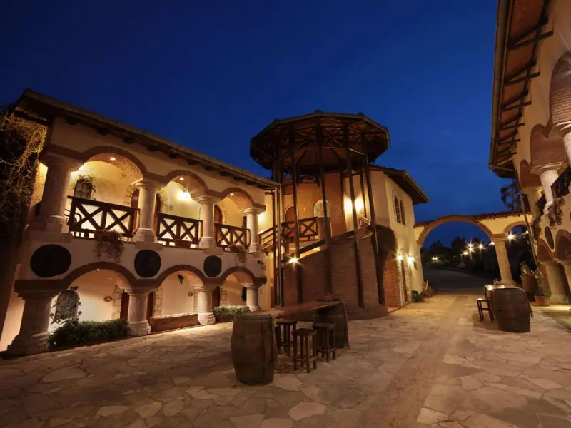 Vinifera Hotel Yedi Bilgeler Vineyards 23