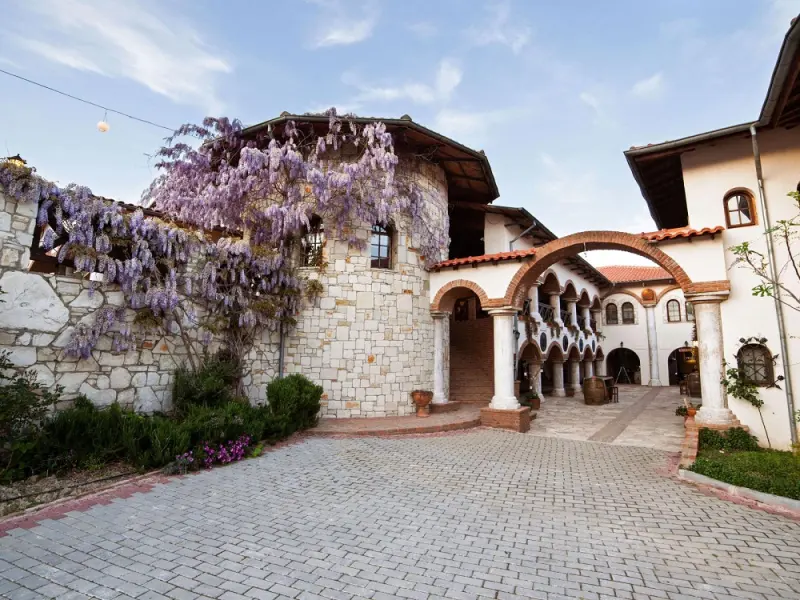 Vinifera Hotel Yedi Bilgeler Vineyards 4