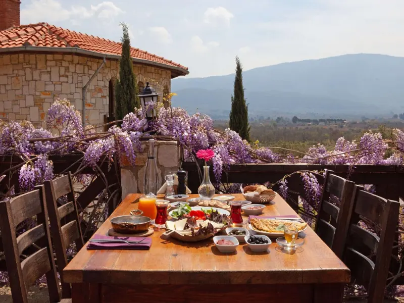 Vinifera Hotel Yedi Bilgeler Vineyards 5