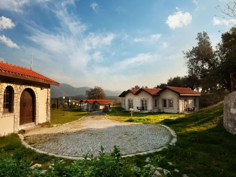 Vinifera Hotel Yedi Bilgeler Vineyards 8