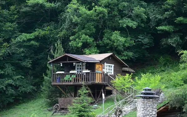 Abant Yesil Ev Masal Evleri 10