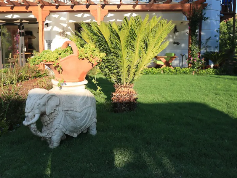 Savana Boutique Hotel 20