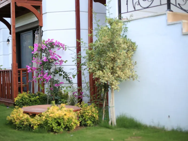 Savana Boutique Hotel 21