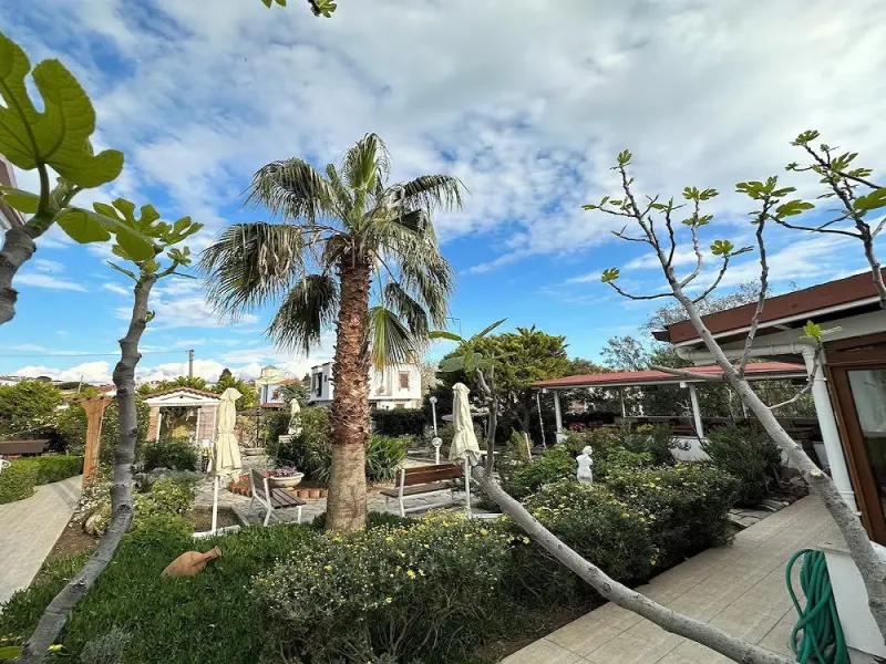 Cunda Alibeyhan Otel 1
