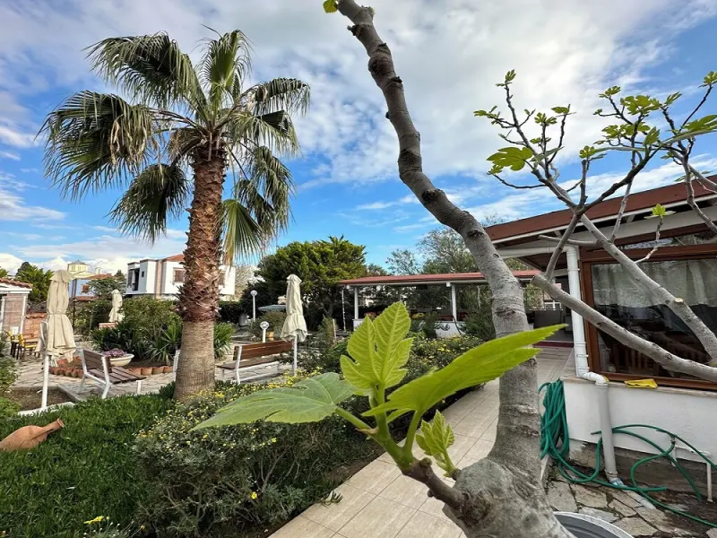 Cunda Alibeyhan Otel 3