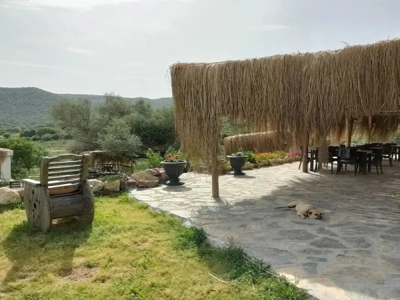 Delice Doğa Evi 9