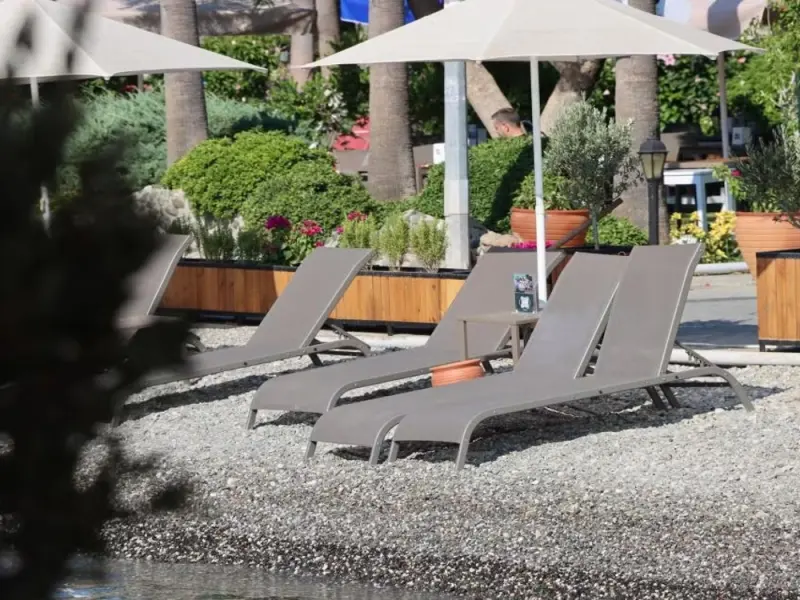 Palmetto Resort Hotel 5