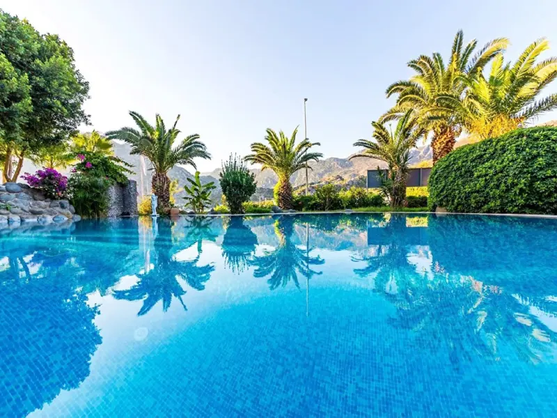 Palmetto Resort Hotel 4