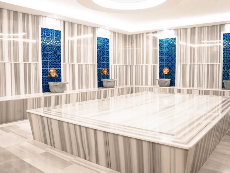 ivy Hotel Spa Çınarcık 8