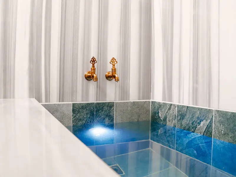 ivy Hotel Spa Çınarcık 13