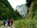 Karaaslan Kamping Bungalov Evleri 44