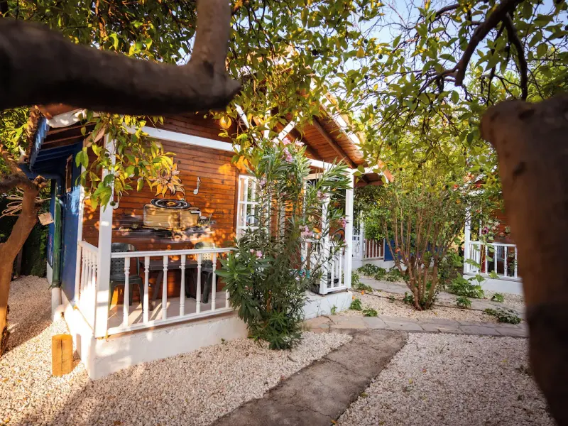 Portakal Bahçesi 15