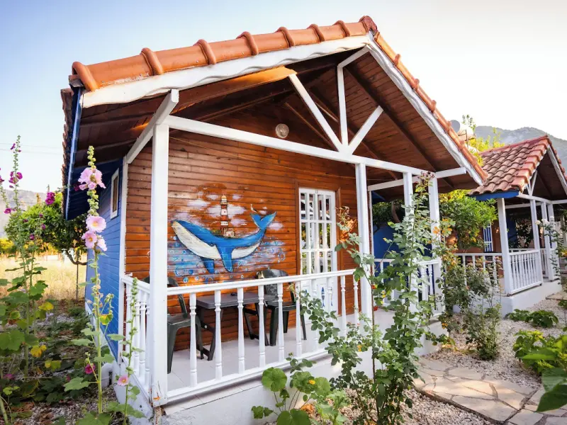 Portakal Bahçesi 3