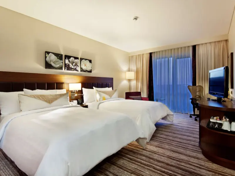 Hilton Garden Inn Mardin 3