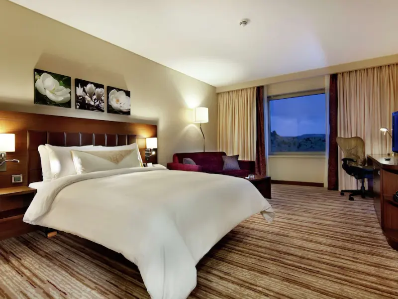 Hilton Garden Inn Mardin 12