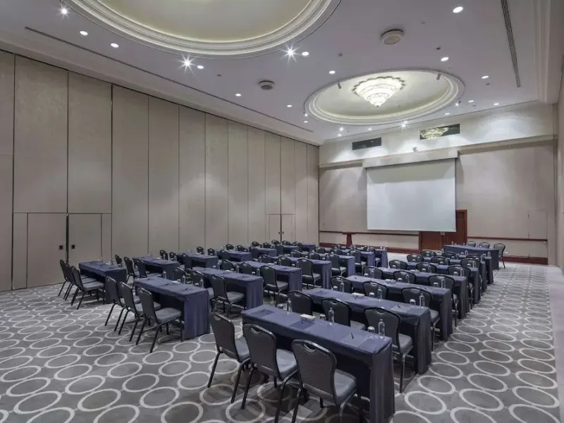 Adana HiltonSA 17