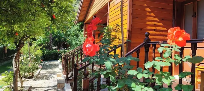 Elly's Home 27