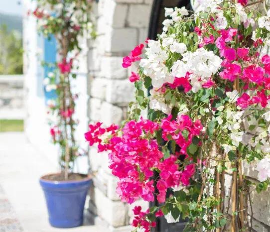 Alaçatı Bellezza Hotel 41