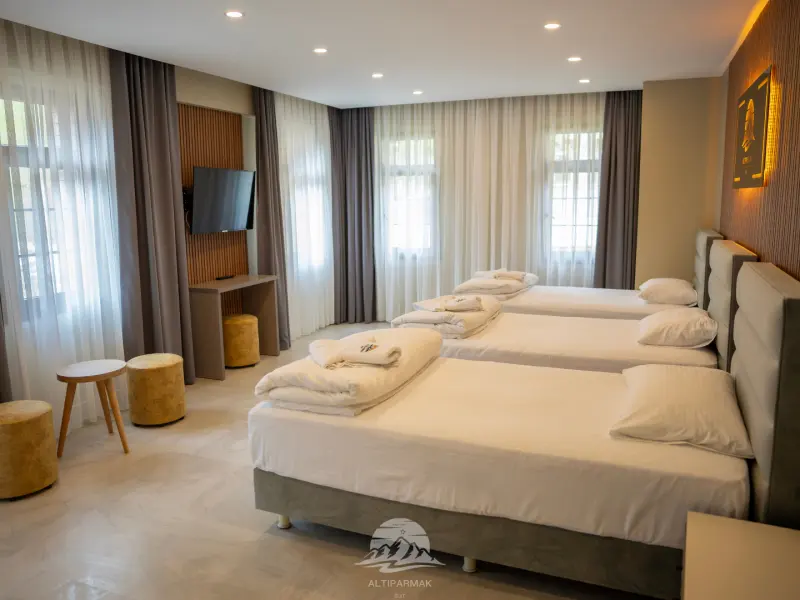 Ayder Altıparmak Suit 11