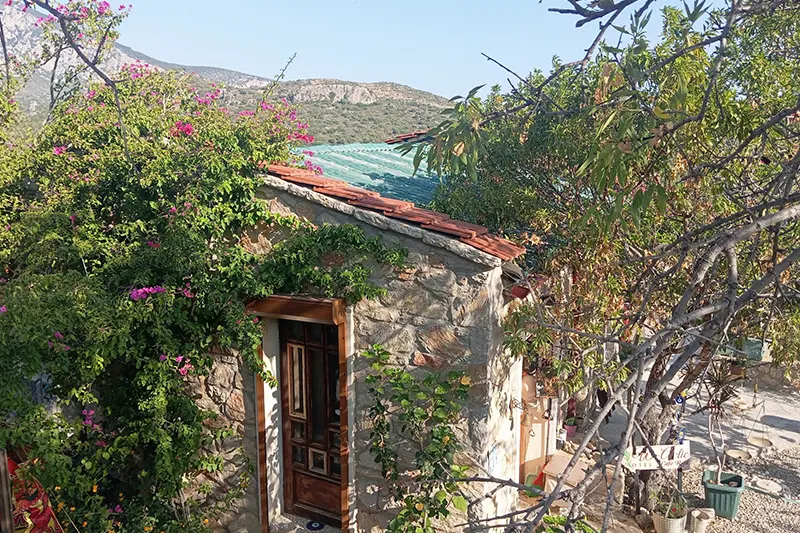 W Antic Pansiyon 4
