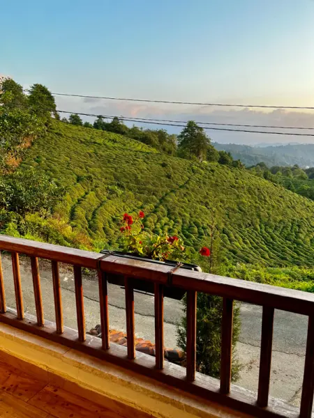 Kaf Dağı Konak Otel 35