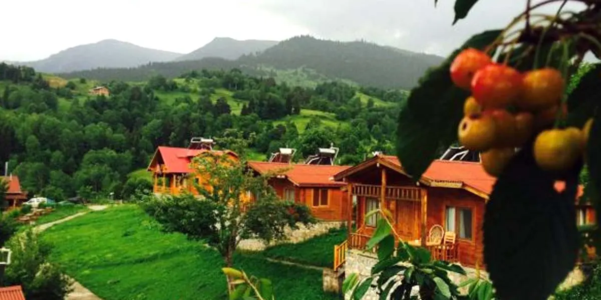 Laşet Restaurant & Bungalov Tatil Köyü