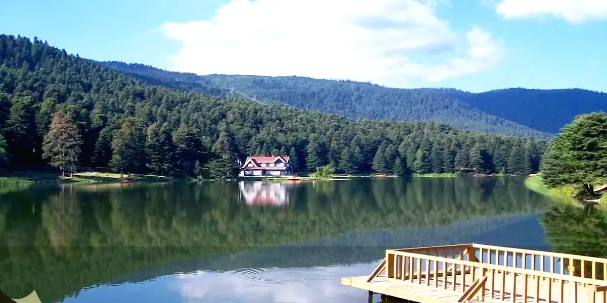 Elit Palace Otel