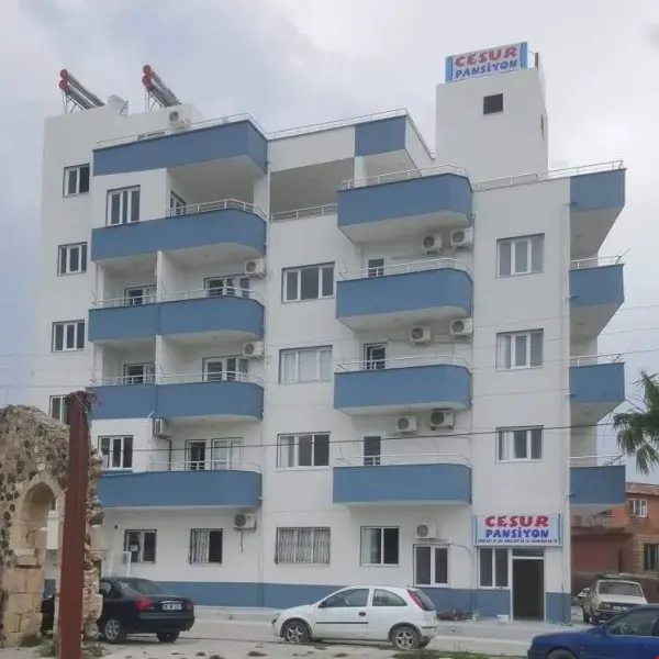 Cesur Pansiyon Adana