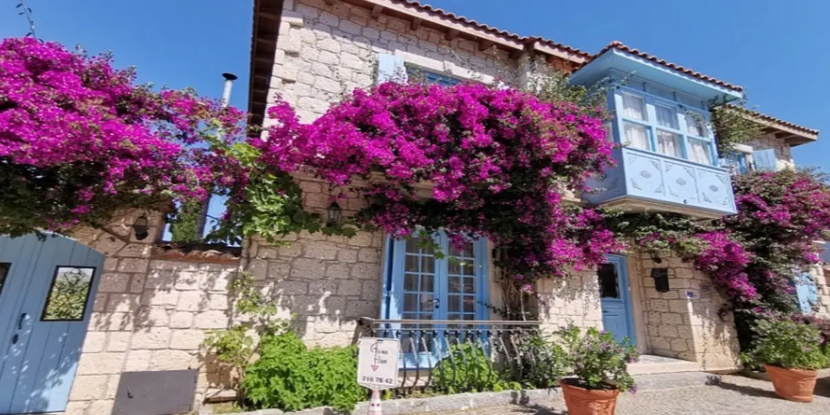 AsmaHan Otel Alaçatı
