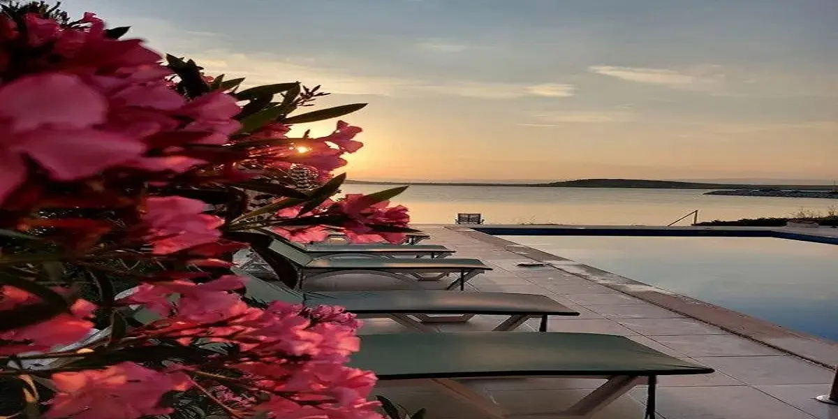 Avsa Akvaryum Butik Otel