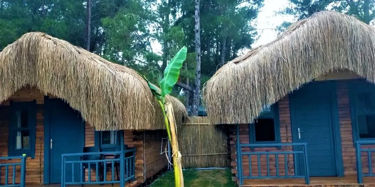 Pine Village Bungalows